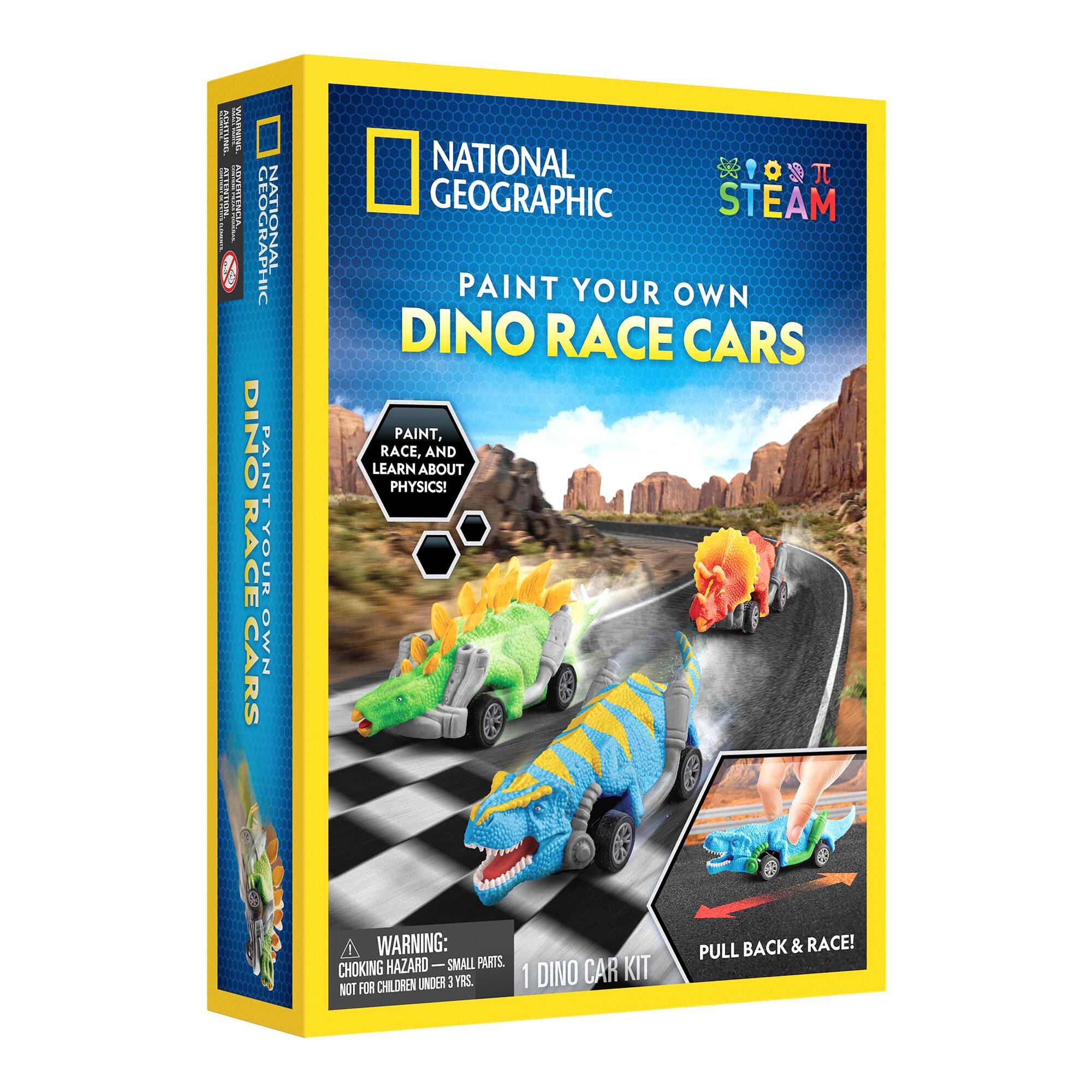 National Geographic™ Paint Your Own Dino Race Cars Kit